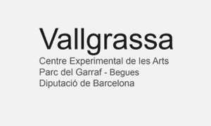 Vallgrassa, Centre Experimental de les Arts